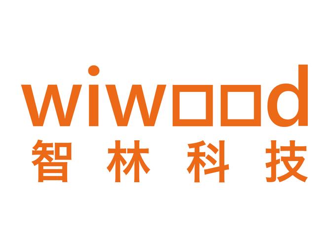 计算机软件与信息系统软件开发 从经营范围到核心能力建设